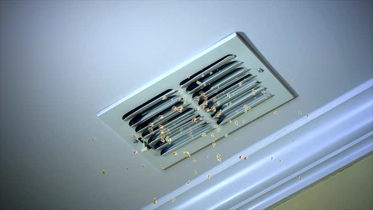 Best Best Air Duct Cleaning Company  in California, MO